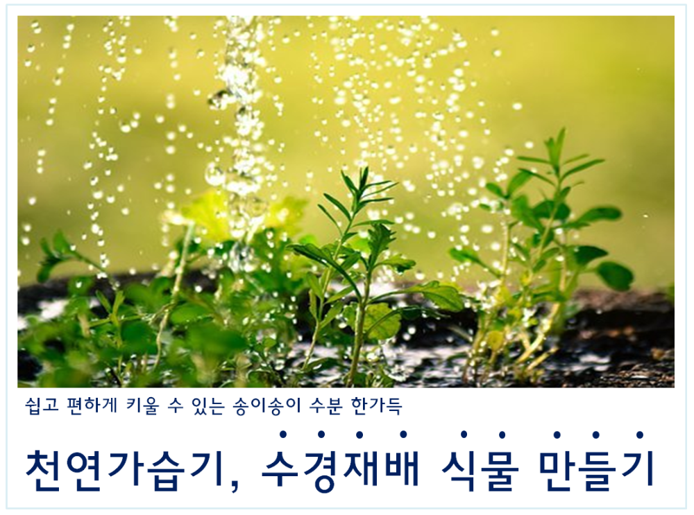 1605669870811_223.PNG